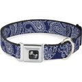Buckle-Down Paisley Dog Collar, Medium