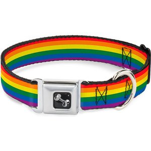 Buckle-Down Pride Dog Collar, Large