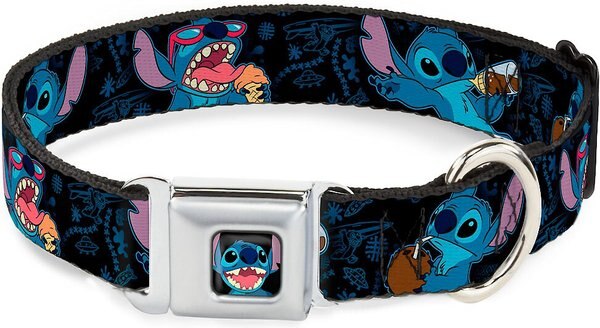 Buckle-Down Stitch Snacking Dog Collar, Large slide 1 of 9