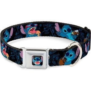 Buckle-Down Stitch Snacking Dog Collar, Large