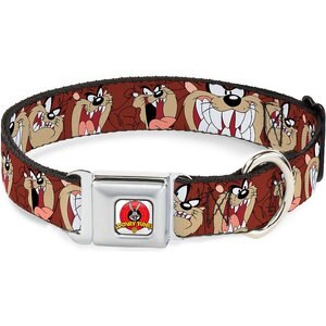 Buckle-Down Tasmanian Devil Dog Collar, Wide-Large