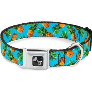 Buckle-Down Vivid Pineapple Dog Collar, Wide-Large