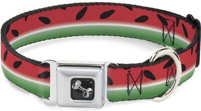 Buckle-Down Watermelon Stripe Dog Collar, slide 1 of 1