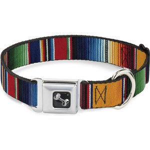 Buckle-Down Zarape Dog Collar, Medium