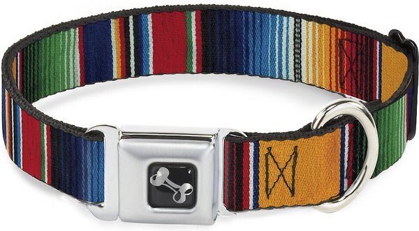 Buckle-Down Zarape Dog Collar, Large slide 1 of 9