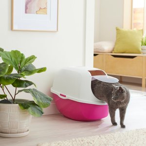 Frisco Modern Hooded Cat Litter Box, Pink