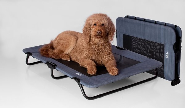 Pet Gear Pet Cot Dog Bed, Lake Blue, 40-in slide 1 of 5