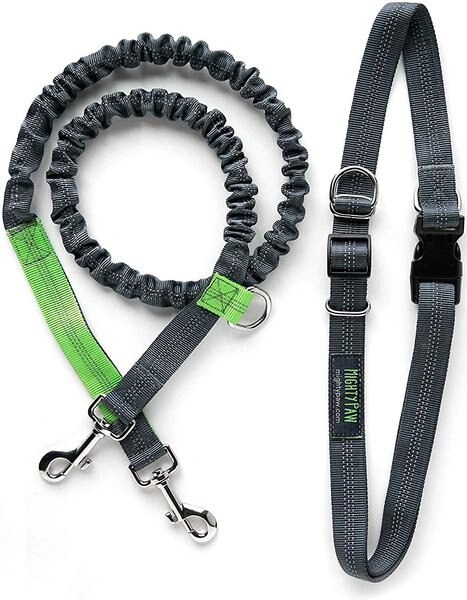 Mighty Paw Hands Free Nylon Bungee Dog Leash Set, Grey, 36-in slide 1 of 8