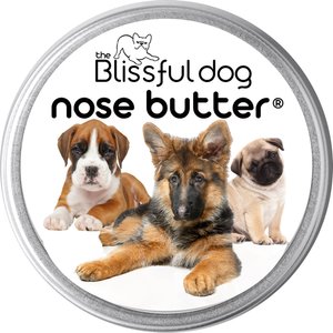 The Blissful Dog 3 Cute Puppies Dog Nose Butter, 8-oz tin