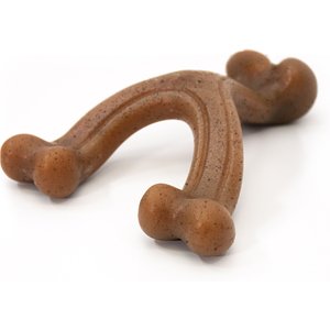 Nylabone Gourmet Style Strong Chew Wishbone Bacon Dog Toy, Brown, Small