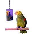Bird Life Stainless Steel Hanging Bird Mirror