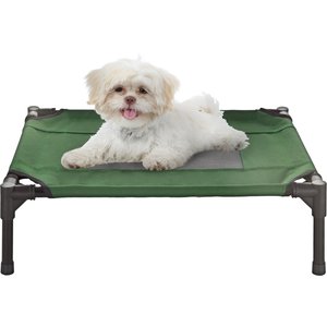 Pet Adobe Cot-Style Elevated Pet Bed, Green, 24.5-in