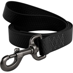 WAUDOG Waterproof Dog Leash, Black, Large: 4-ft long, 1-in wide