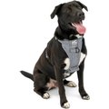 Kurgo Tru-Fit Smart Quick Release Dog Walking Harness and Seatbelt Tether, Charcoal, X-Large