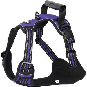 EliteField Padded Reflective No Pull Dog Harness, Purple, X-Large: 24 to 43-in chest