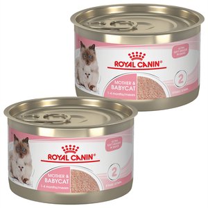 Royal Canin Mother & Babycat Ultra-Soft Mousse in Sauce Wet Cat Food for New Kittens & Nursing or Pregnant Mother Cats, 5.1-oz, case of 24, bundle of 2