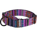 CollarDirect Tribal Pattern Aztec Design Nylon Martingale Dog Collar, Multicolor 2, Medium