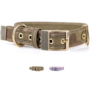 myfamily Camo West Point Collection Dog Collar, Green, 13.5-16-in