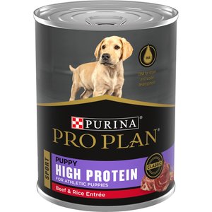Purina Pro Plan Sport High Protein Food Beef & Rice Wet Dog Food, 13-oz can, case of 12