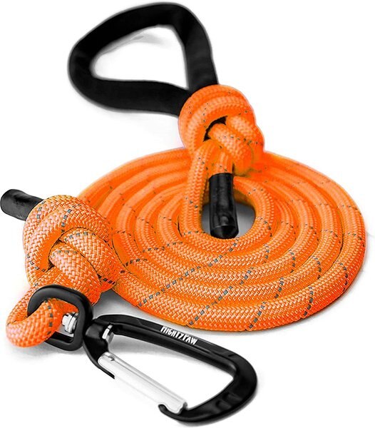 Mighty Paw Rope Dog Leash, 6-ft, Orange slide 1 of 9