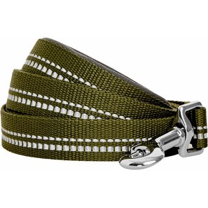 Blueberry Pet 3M Reflective Pastel Color Dog Leash, Olive Green, Small: 5-ft long, 5/8-in wide