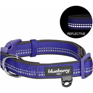 Blueberry Pet Soft & Safe 3M Neoprene Padded Adjustable Reflective Dog Collar, Violet, Small: 12 to 16-in neck