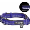 Blueberry Pet Soft & Safe 3M Neoprene Padded Adjustable Reflective Dog Collar, Violet, Medium: 14.5 to 20-in neck