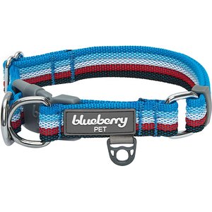 Blueberry Pet Multi-Colored Stripe Adjustable Dog Collar, Azure Blue & Raspberry Red, Small: 12 to 16-in neck