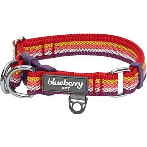 Blueberry Pet Multi-Colored Stripe Adjustable Dog Collar, Mixed Tone Rainbow Color, Large: 18 to 26-in neck