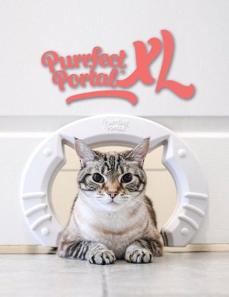 Purrfect Portal Interior Cat Door, X-Large slide 1 of 6