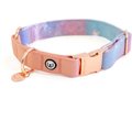 Eat Play Wag Cotton Candy Standard Dog Collar, Medium: 14 to 18-in neck, 1-in wide