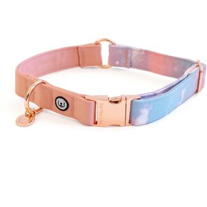 Eat Play Wag Cotton Candy Standard Dog Collar, Large: 18 to 22-in neck, 1-in wide