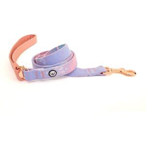 Eat Play Wag Cotton Candy Standard Leash, 3/4-in