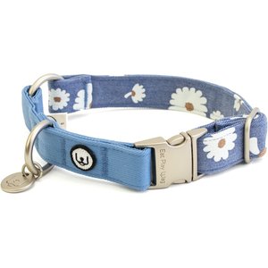 Eat Play Wag Daisy Fields Standard Dog Collar, Small: 11 to 14 in-neck, 3/4-in wide