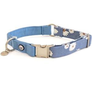 Eat Play Wag Daisy Fields Standard Dog Collar, Large: 18 to 22-in neck, 1-in wide