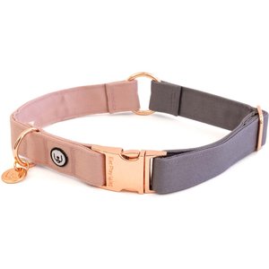Eat Play Wag Standard Dog Collar, Gray, Pink, Large: 18 to 22-in neck, 1-in wide