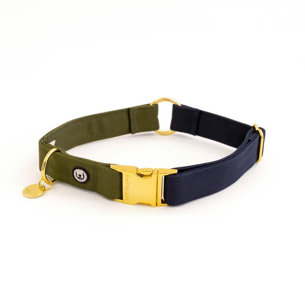 Eat Play Wag Standard Dog Collar, Blue, Green, Large: 18 to 22-in neck, 1-in wide slide 1 of 2
