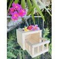 CrazyCritterThings Critter Bungalow w/ Rails Small Pet Habitat Accessory