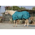Kensington Protective Products Signature Light Weight Horse Turnout Blanket, Harbor, 75-in
