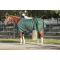 Kensington Protective Products Signature Medium Weight Horse Turnout Blanket, Hunter, 72-in