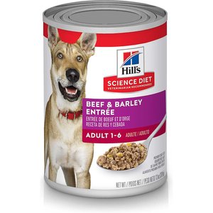 Hill's Science Diet Adult Beef & Barley Entree Canned Dog Food, 13-oz, case of 12, bundle of 2