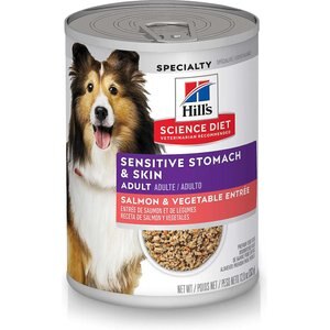 Hill's Science Diet Adult Sensitive Stomach & Skin Grain-Free Salmon & Vegetable Entree Canned Dog Food, 12.8-oz, case of 12, bundle of 2