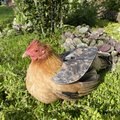 The Chicken Chick Hen Mating Saddle, Small