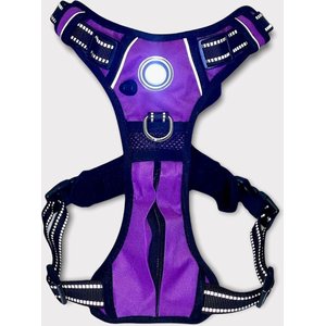 Headlight Harness LED Light Dog Harness, Purple, Medium