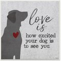 Stupell Industries Love is How Excited Your Dog Is Dog Wall Décor, Wood, 12 x 0.5 x 12-in 