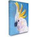 Stupell Industries Parrot Mohawk Blue Yellow Animal Bird Wall Décor, Canvas, 16 x 1.5 x 20-in