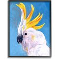 Stupell Industries Parrot Mohawk Blue Yellow Animal Bird Wall Décor, Black Framed, 16 x 1.5 x 20-in