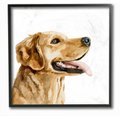 Stupell Industries Watercolor Labrador Portrait Dog Wall Décor, Black Framed, 12 x 1.5 x 12-in