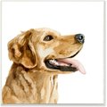 Stupell Industries Watercolor Labrador Portrait Dog Wall Décor, Wood, 12 x 0.5 x 12-in 