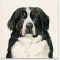 Stupell Industries Bernese Mountain Dog Wall Décor, Wood, 12 x 0.5 x 12-in 